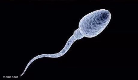 da sperm - meme generator image preview