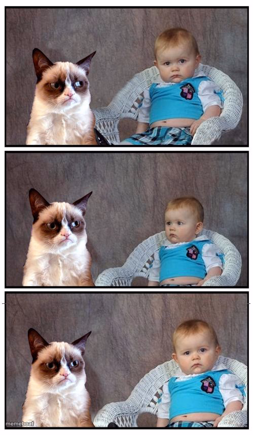 Dad Joke Cat - meme generator image preview