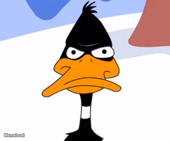 Daffy Duck not amused - meme generator image preview