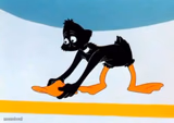 Daffy Duck Picking Up His Beak