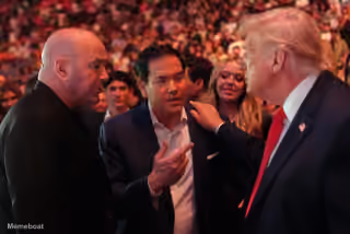 Dana White, Marco Rubio, and Donald Trump Talking