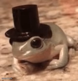 dapper frog