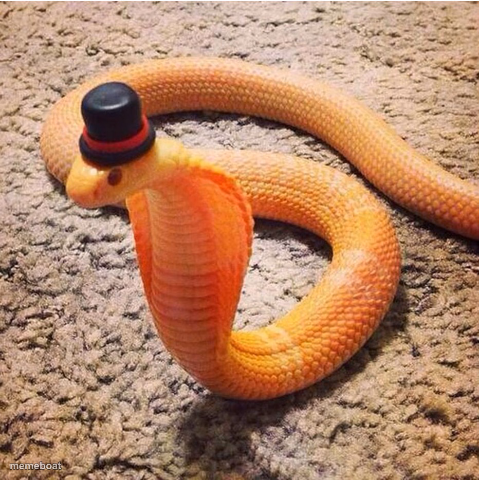 Dapper Snek - meme generator image preview