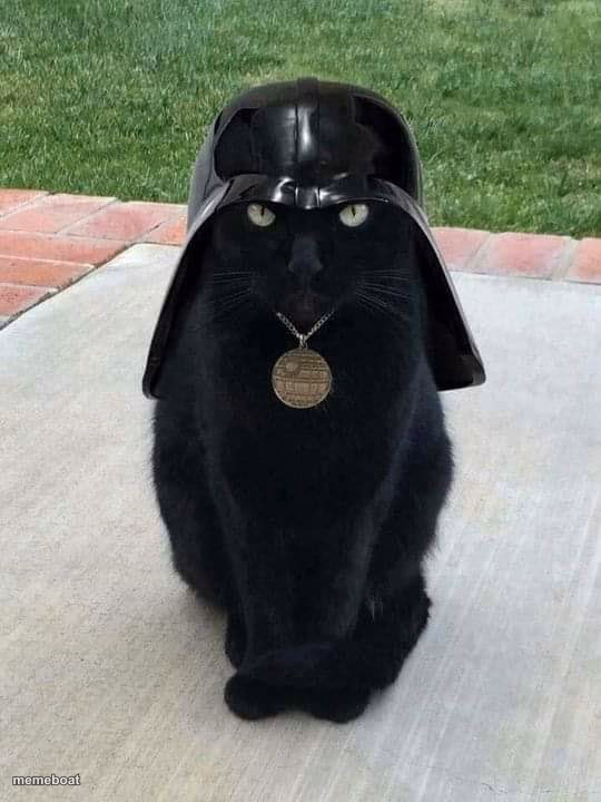 Dark Side Black Cat - meme generator image preview