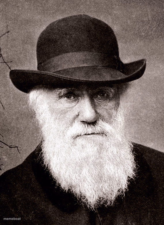 Darwin - meme generator image preview