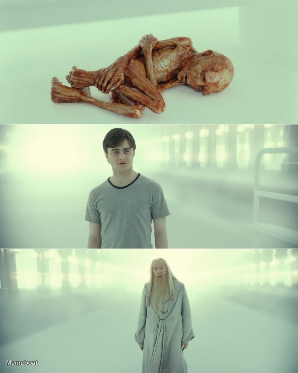 Dead Baby Voldemort / What Happened To Him - meme generator image preview