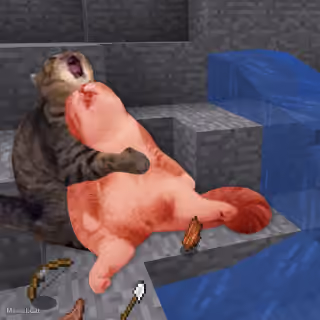 Dead Minecraft Cat