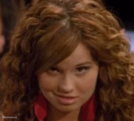 Debby Ryan Smirk - meme generator image preview