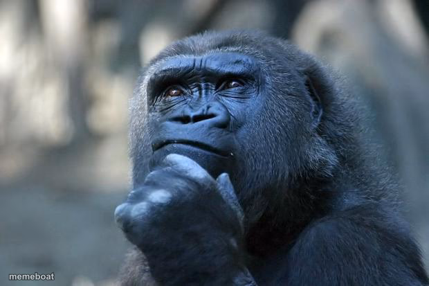 Deep Thoughts - meme generator image preview