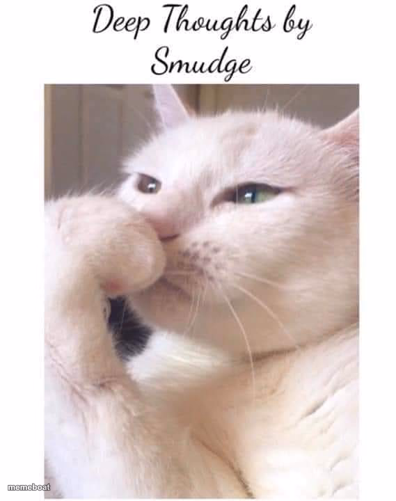 Deep-Thoughts-By-Smudge - meme generator image preview