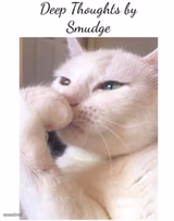 Deep-Thoughts-By-Smudge