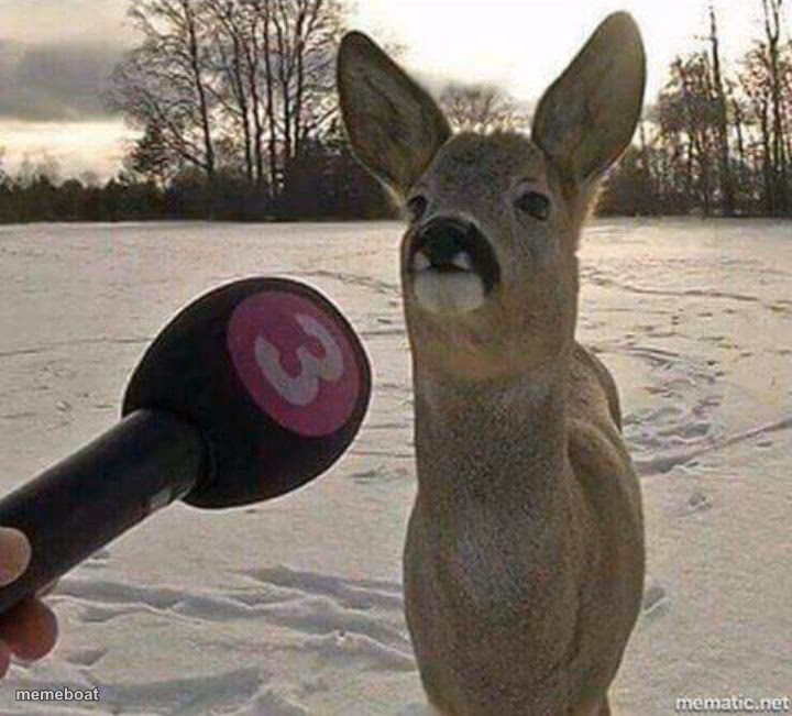 Deer interviewed - meme generator image preview
