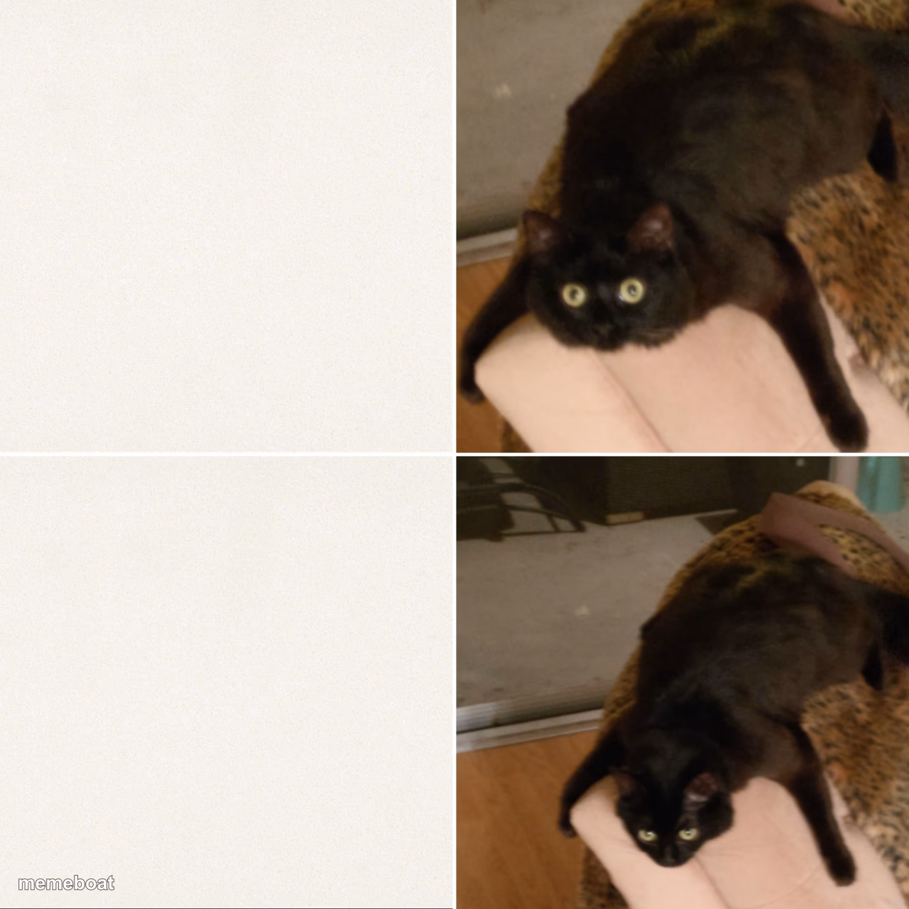 Dejected cat - meme generator image preview