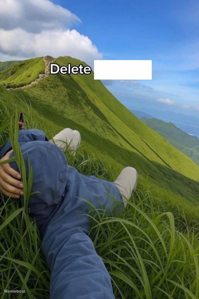 Delete X - meme generator image preview