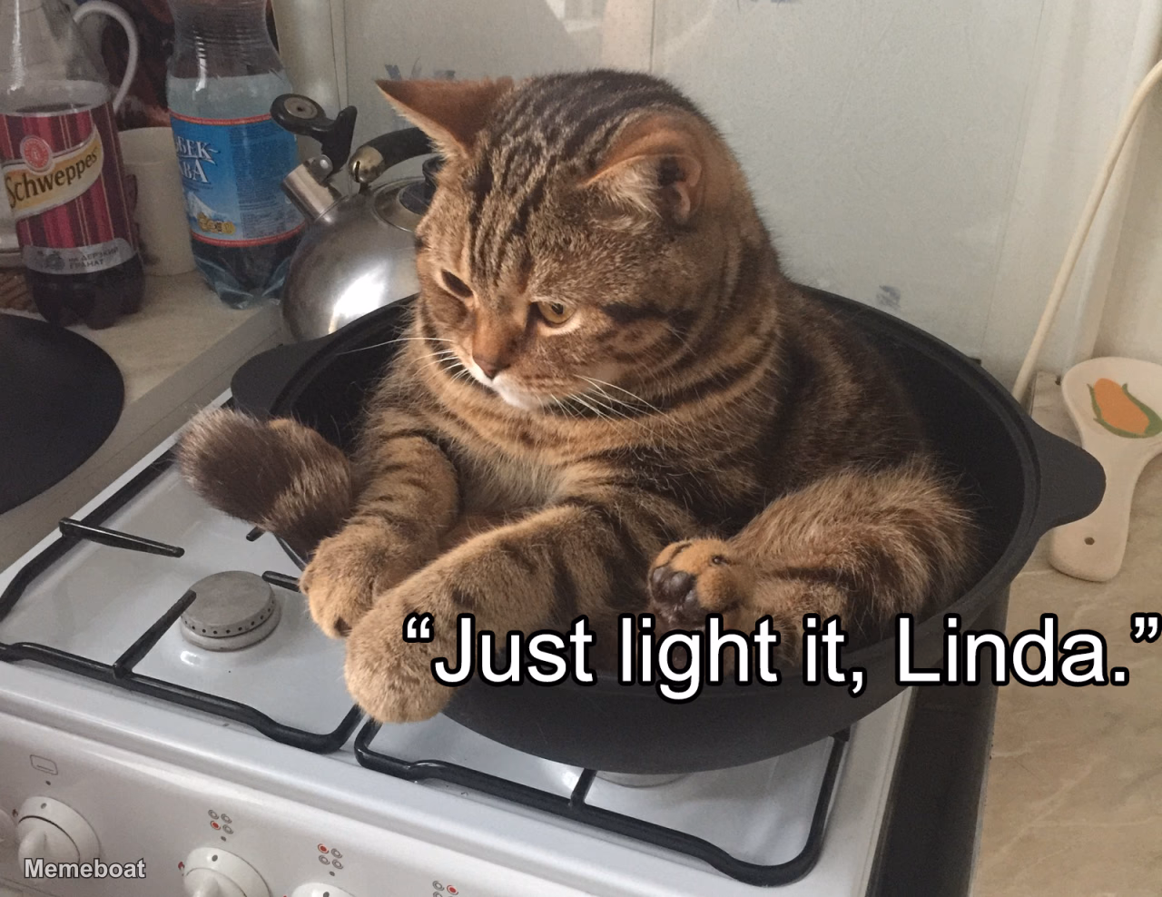 Depressed Cat In Pot On Stove - "Just Light It, Linda. " - meme generator image preview