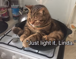 Depressed Cat In Pot On Stove - "Just Light It, Linda. "