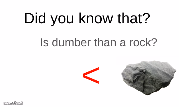Did you know that (blank) is dumber than a rock? - meme generator image preview