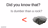 Did you know that (blank) is dumber than a rock?