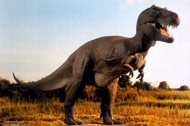 dinosaur - meme generator image preview