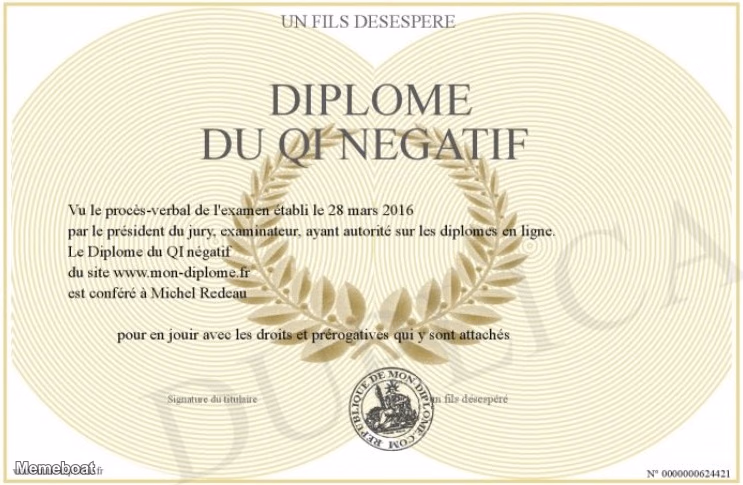 Diplome du QI Negatif - meme generator image preview