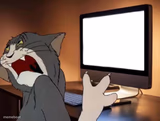 Disgusted tom