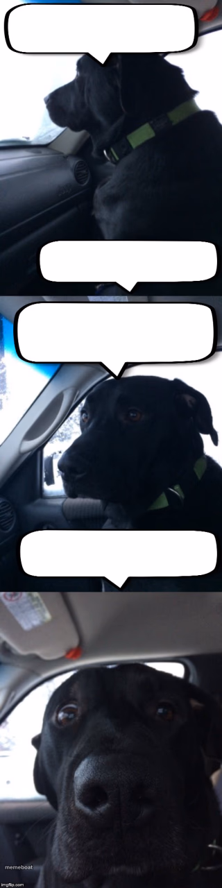 Dismayed Duke - meme generator image preview