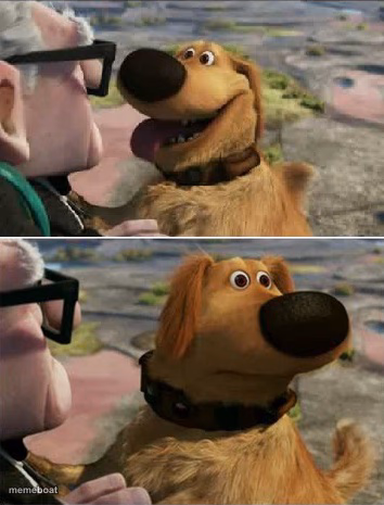 distracted by squirrel - meme generator image preview