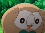 Distressed Rowlet
