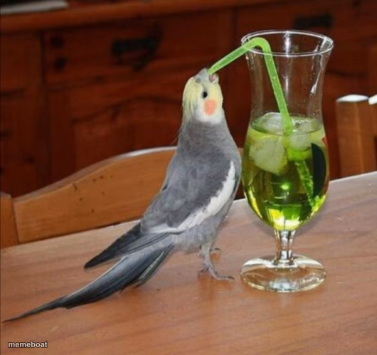 DIY Unsee Juice Meme - meme generator image preview