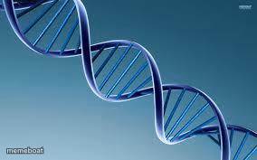 dna - meme generator image preview