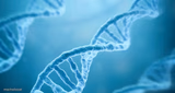 DNA