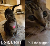do it debra, pull the trigger