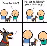Does he bite ?