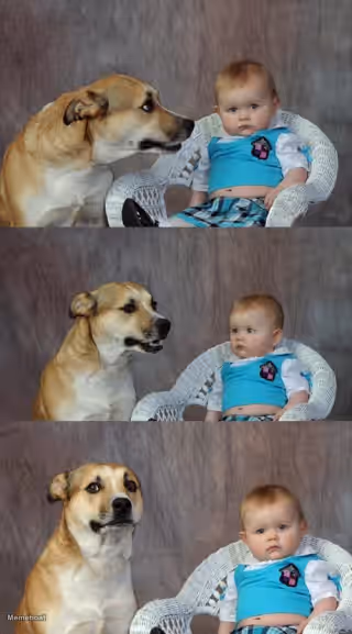 Dog Side Eyeing Baby