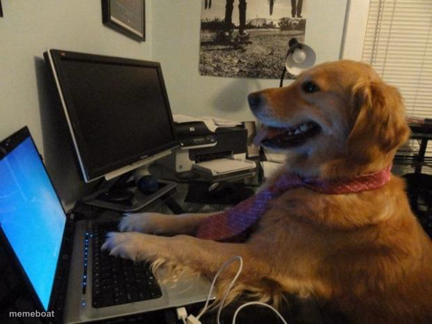Dog behind a computer - meme generator image preview