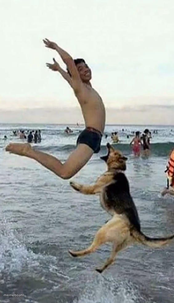 Dog bite dick - meme generator image preview