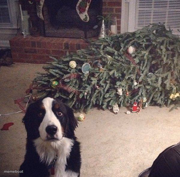 Dog Christmas Tree - meme generator image preview
