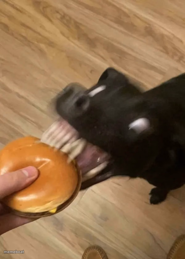 dog glitching - meme generator image preview