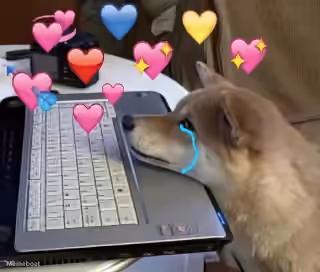 Dog Hearts Laptop