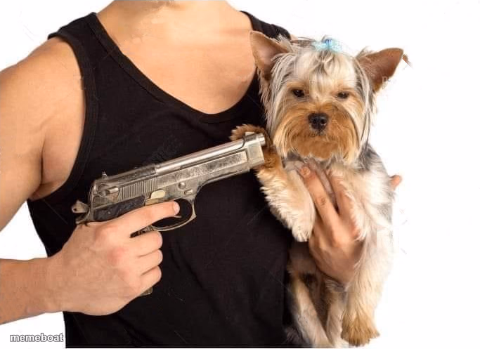 dog hostage - meme generator image preview