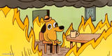 Dog in fire