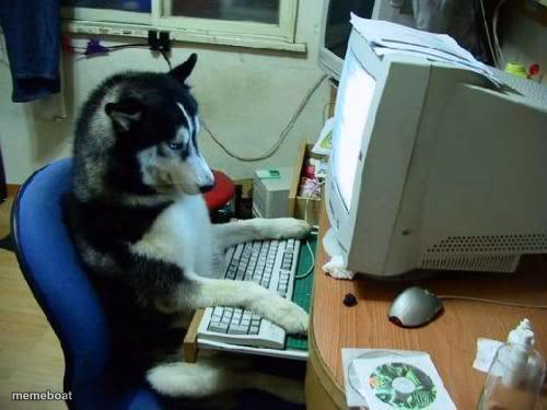 dog on computer - meme generator image preview