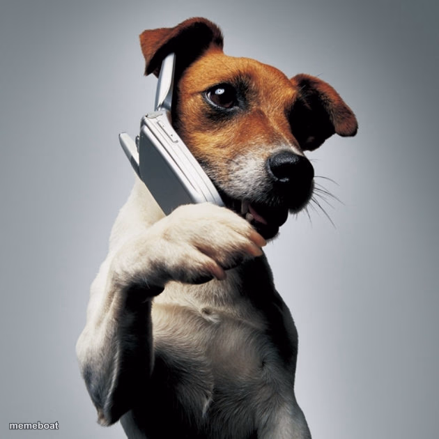 Dog Phone - meme generator image preview