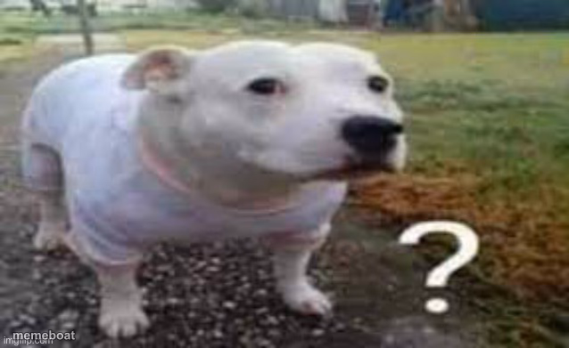 Dog question mark - meme generator image preview