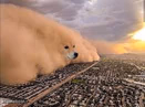 dog sandstorm