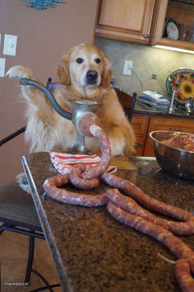 dog sausages - meme generator image preview