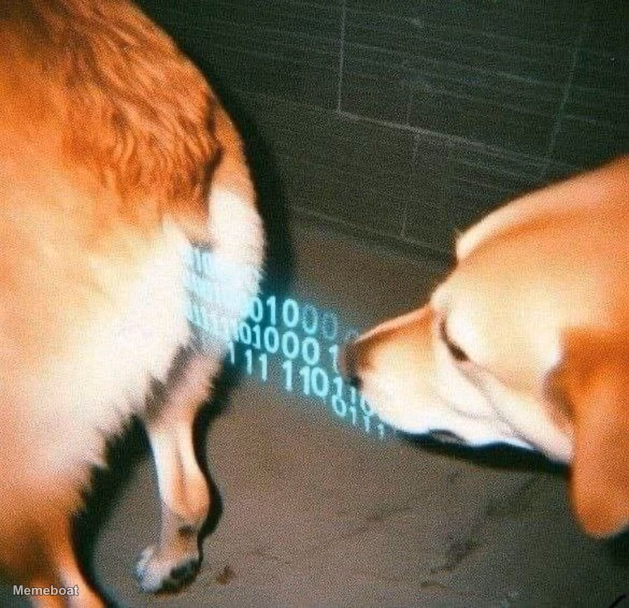 Dog Sniffing Code Butt - meme generator image preview
