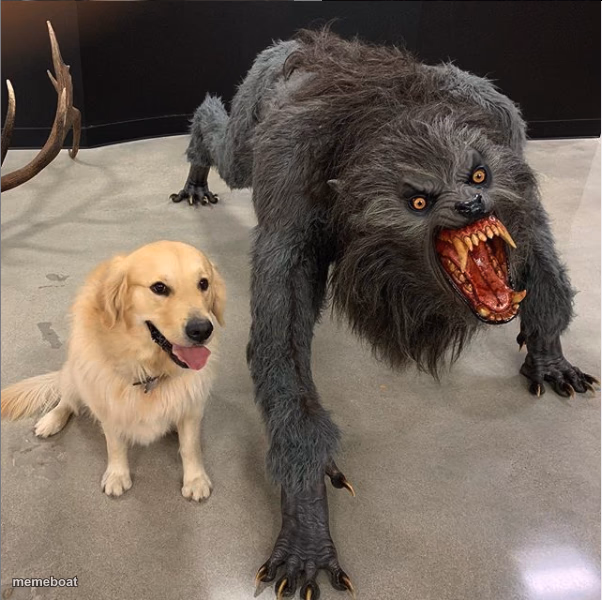 Dog Vs. Werewolf - meme generator image preview
