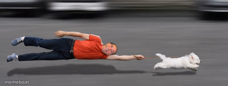 dog walker - meme generator image preview