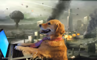 Dog War Hacker